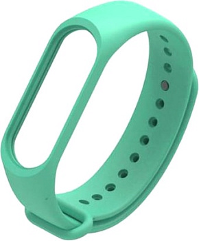 Ремешок Evolution XMB5-S01 для Xiaomi Mi Band 5/Mi Smart Band 5 (зеленый)