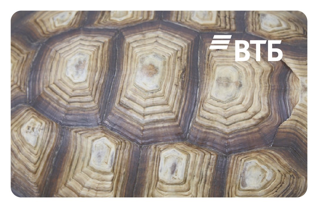 Карта рассрочки «Черепаха»